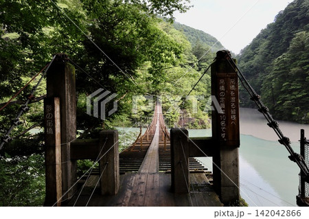 寸又峡 夢の吊橋 寸又峡 夢の吊橋 142042866