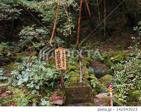 屋久島の森に湧く不老長寿の水「益救雲水」 142043023