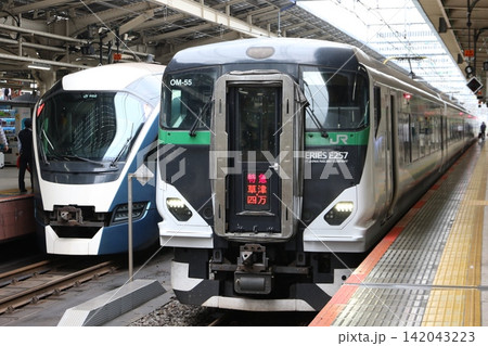 東京駅ホームで並ぶ特急草津・四万（E257系5500番台）と特急サフィール踊り子（E261系） 142043223