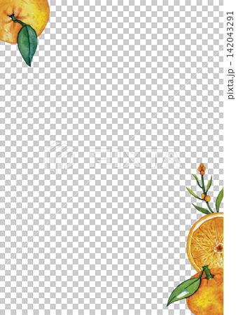Fresh Orange Floral Corner Fresh Orange Floral Corner 142043291