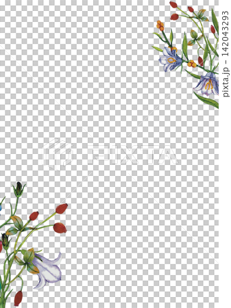 Elegant Flower Corner Border Elegant Flower Corner Border 142043293