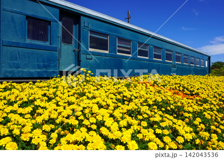幌似鉄道記念館の保存車両と素敵な花壇 幌似鉄道記念館の保存車両と素敵な花壇 142043536