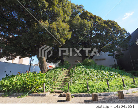 那古野山古墳公園 那古野山古墳公園 142043651