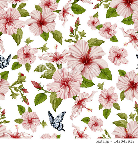 Tropical hibiscus flowers watercolor seamless pattern with blue butterfly on white background . Floral summer print with blooming garden plant elements 142043918