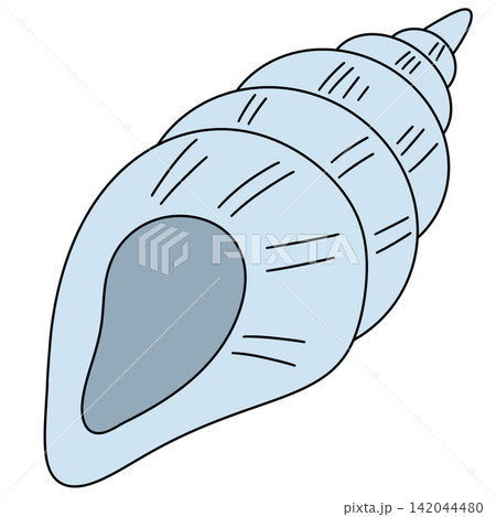 Light blue spiral shell with smooth, elegant curves Light blue spiral shell with smooth, elegant curves 142044480