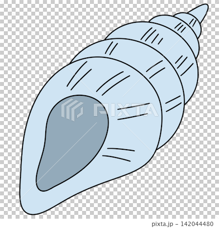 Light blue spiral shell with smooth, elegant curves Light blue spiral shell with smooth, elegant curves 142044480