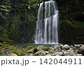 夏の桜滝 142044911