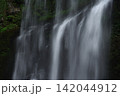 夏の桜滝 142044912