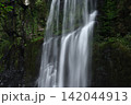 夏の桜滝 142044913