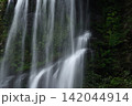 夏の桜滝 142044914