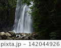 夏の桜滝 142044926