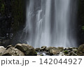 夏の桜滝 142044927