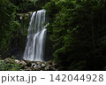 夏の桜滝 142044928