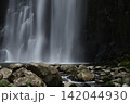 夏の桜滝 142044930