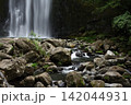 夏の桜滝 142044931