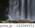 夏の桜滝 142044932