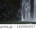 夏の桜滝 142045057
