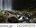 夏の桜滝 142045059