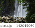 夏の桜滝 142045060