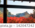 東福寺の朝日を浴びる通天橋の紅葉 (京都府京都市東山区) 142047242