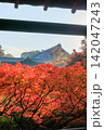 東福寺の朝日を浴びる通天橋の紅葉 (京都府京都市東山区) 142047243