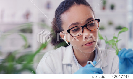 Woman, scientist and plant for testing in lab for research or study to experiment for environment. Science, biotechnology and crop for agriculture, farming and nutrition diseases or challenges. Woman, scientist and plant for testing in lab for research or study to experiment for environment. Science, biotechnology and crop for agriculture, farming and nutrition diseases or challenges. 142047748