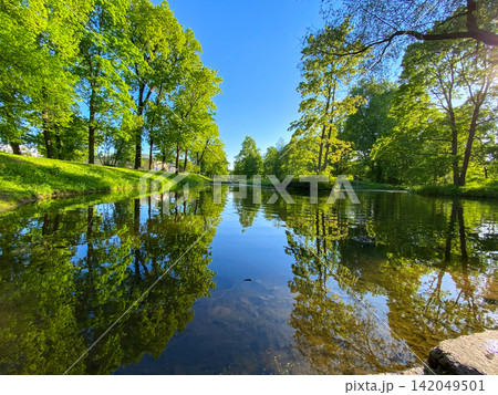 Green Park Pond Reflection on Sunny Day Green Park Pond Reflection on Sunny Day 142049501