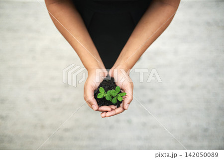 Hands, soil and leaves for business growth, ecology and change for opportunity and charity. Person with fertilizer, sustainability and eco friendly corporate goals for climate change and environment Hands, soil and leaves for business growth, ecology and change for opportunity and charity. Person with fertilizer, sustainability and eco friendly corporate goals for climate change and environment 142050089