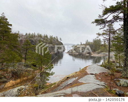 Rocky Forest Inlet with Calm Water Rocky Forest Inlet with Calm Water 142050176