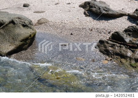 神奈川県 三浦半島 城ヶ島の波打ち際 神奈川県 三浦半島 城ヶ島の波打ち際 142052481