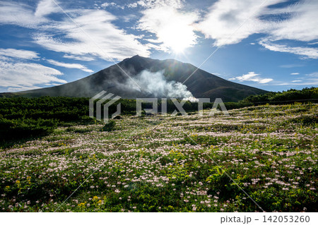 大雪山旭岳の登山風景 大雪山旭岳の登山風景 142053260