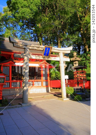 京都　円山公園と八坂神社 142053544