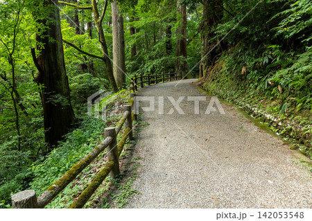 加茂山公園 遊歩道 新潟県加茂市 加茂山公園 遊歩道 新潟県加茂市 142053548