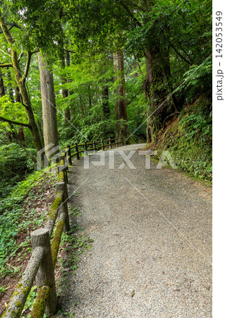 加茂山公園 遊歩道 新潟県加茂市 加茂山公園 遊歩道 新潟県加茂市 142053549
