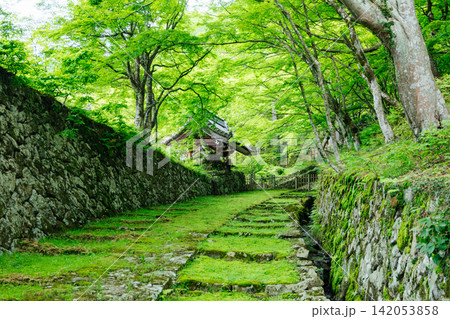 【滋賀県東近江市】百済寺 苔むす表門前と新緑の絶景 【滋賀県東近江市】百済寺 苔むす表門前と新緑の絶景 142053858