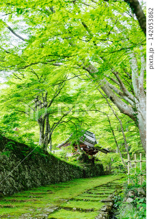 【滋賀県東近江市】百済寺　苔むす表門前と新緑の絶景 142053862