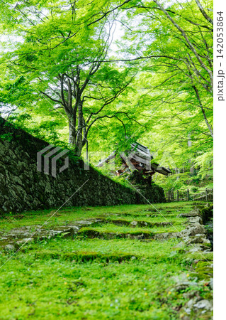 【滋賀県東近江市】百済寺 苔むす表門前と新緑の絶景 【滋賀県東近江市】百済寺 苔むす表門前と新緑の絶景 142053864