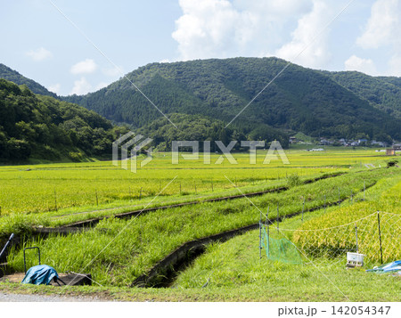 京都府南丹市日吉町に広がる田園風景 京都府南丹市日吉町に広がる田園風景 142054347