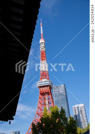 東京都 東京タワーのある街並み・東京都市風景・増上寺と東京タワー 東京都 東京タワーのある街並み・東京都市風景・増上寺と東京タワー 142054934