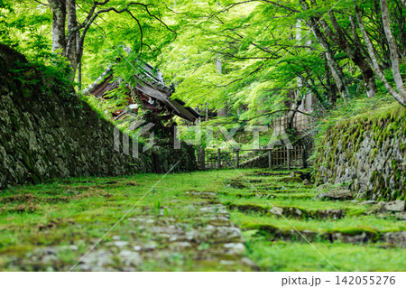 【滋賀県東近江市】百済寺 苔むす表門前と新緑の絶景 【滋賀県東近江市】百済寺 苔むす表門前と新緑の絶景 142055276