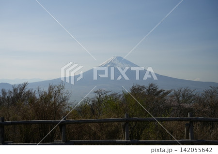 富士山 142055642