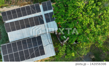 Rooftop solar panels beside green tree. Renewable energy, sustainable electricity generation, clean power infrastructure, and environmental conservation. Carbon reduction, and eco friendly technology. 142056306