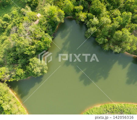 Aerial view of a tranquil green lake surrounded by lush tropical forest. Natural water resources, biodiversity, ecological conservation and peaceful rural landscapes. Environmental conservation. Aerial view of a tranquil green lake surrounded by lush tropical forest. Natural water resources, biodiversity, ecological conservation and peaceful rural landscapes. Environmental conservation. 142056316