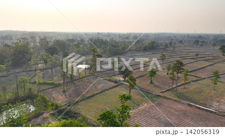 Drone view of rural farmland with cultivated agricultural fields, scattered trees, irrigation ponds and country roads in a tropical countryside landscape. Sustainable farming and land management. 142056319