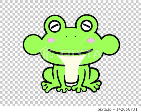 正面から見た可愛い蛙(カエル)のイラスト 142056731