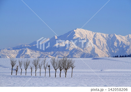 雪原のハサ木・越後三山雪景色 142058206