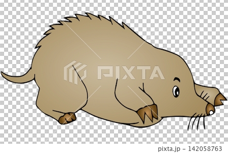 手書き動物イラスト☆モグラ 手書き動物イラスト☆モグラ 142058763
