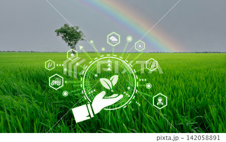 Smart agriculture with modern technology concept. Landscape of green rice farm field, rainbow, and icon of smart farming concept. Sustainable agriculture. Precision agriculture. Climate monitoring. 142058891