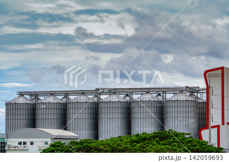 Agricultural grain silos at a commercial feed mill factory with modern steel storage tanks. Grain handling, livestock feed manufacturing, agricultural logistics and food supply chain infrastructure. Agricultural grain silos at a commercial feed mill factory with modern steel storage tanks. Grain handling, livestock feed manufacturing, agricultural logistics and food supply chain infrastructure. 142059693
