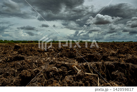 Plowed agricultural field under dramatic storm clouds, fertile farmland prepared for crop planting, rural landscape showing sustainable farming, climate, weather and food production concept. Plowed agricultural field under dramatic storm clouds, fertile farmland prepared for crop planting, rural landscape showing sustainable farming, climate, weather and food production concept. 142059817